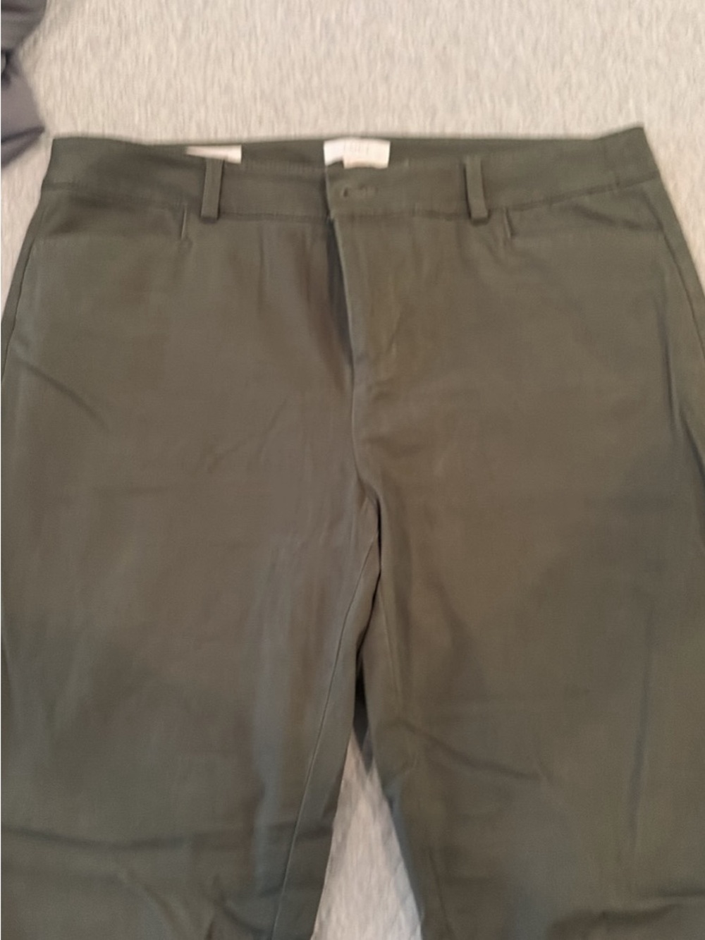 LOFT Olive Green Men's Chino Pants